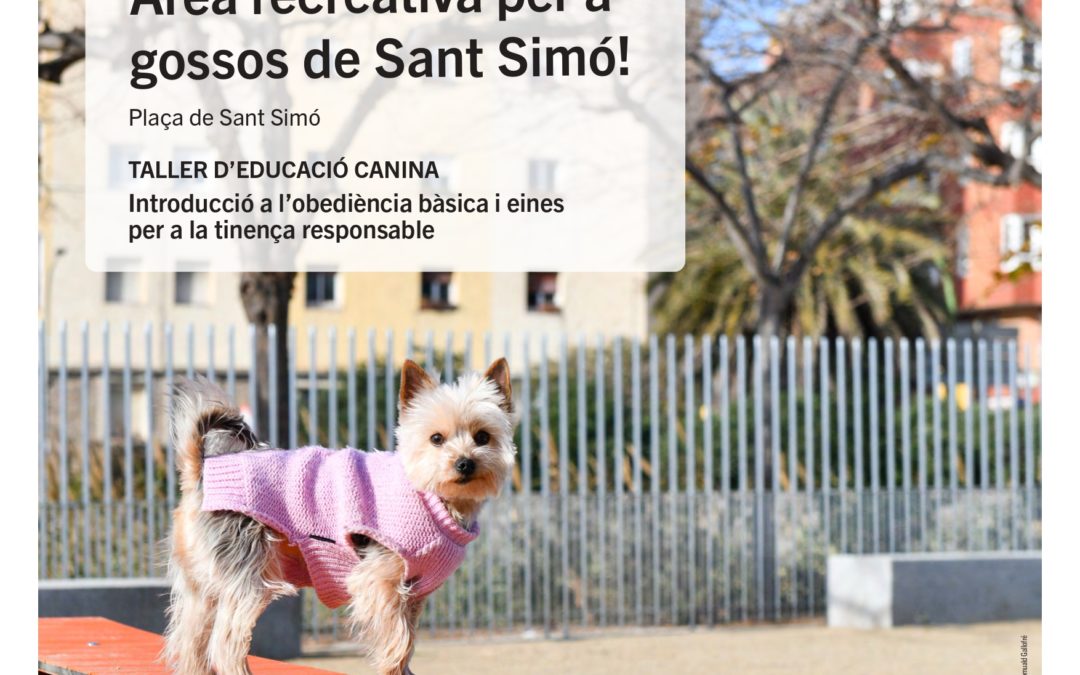 Nova àrea recreativa per a gossos a la plaça de Sant Simó de Mataró